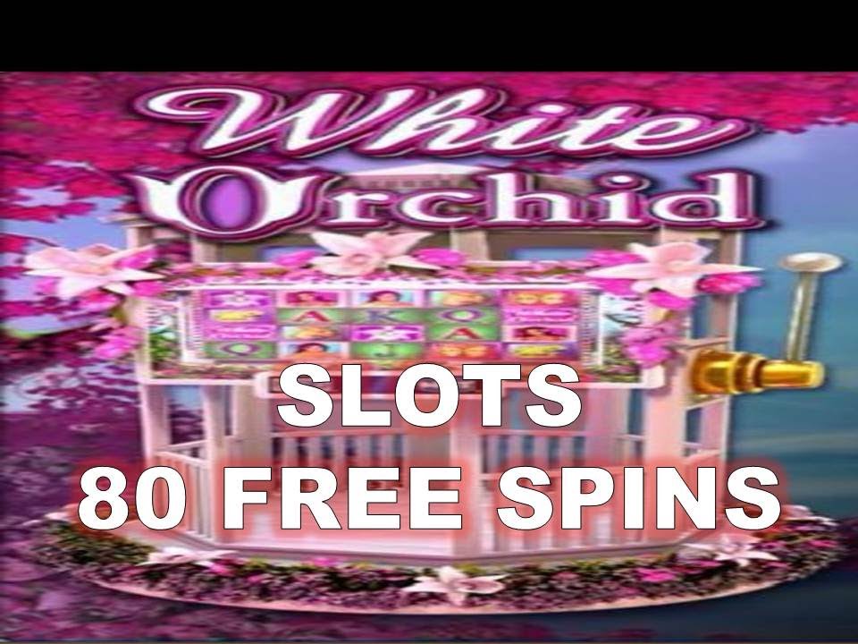 Springbok Casino No Deposit Bonus Codes 2022